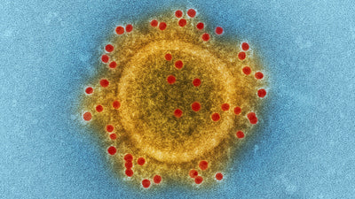 Influenza A & B Antigen