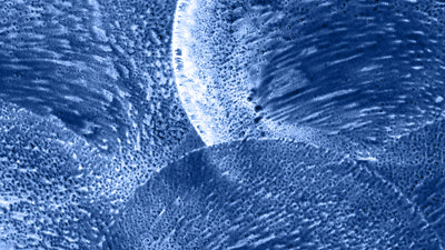 Total Hardness of Water