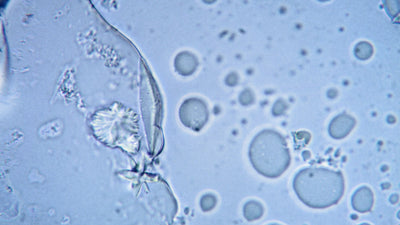 Sodium Chloride in Water