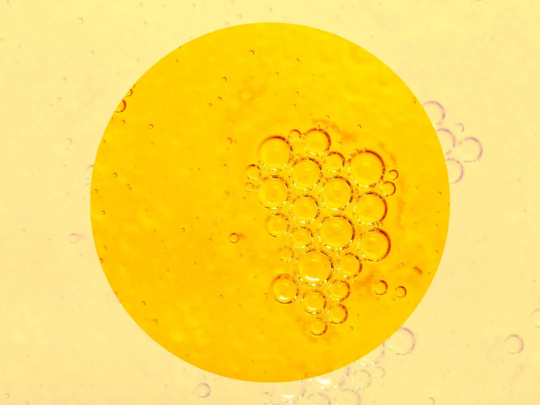 All About Glucose in Urine and Urine Glucose Test Strips