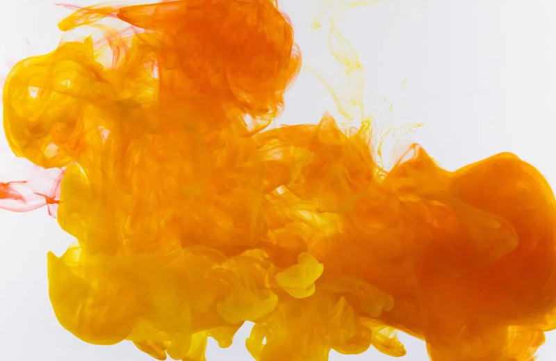 Urine Color, Clarity, and Smell – All You Need to Know