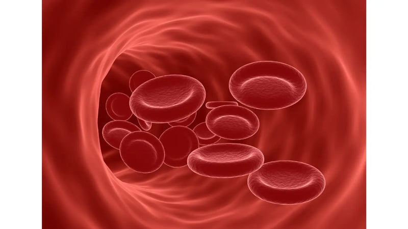 Understanding the Connection Between Anemia and GI Bleeding