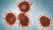 Bilirubin in Urine
