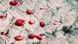 Fecal Occult Blood