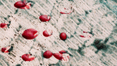Fecal Occult Blood