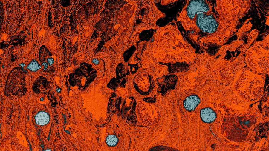 Nitric Oxide