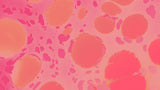 Malondialdehyde (MDA)