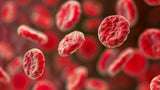 Prostate-Specific Antigen (PSA)
