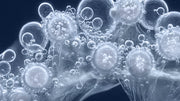 Fluoride in Water