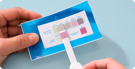 UTI Test Strips