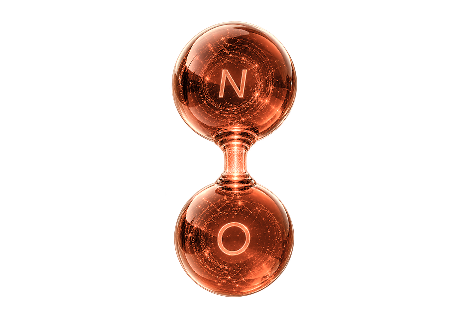 NITRIC OXIDE biology