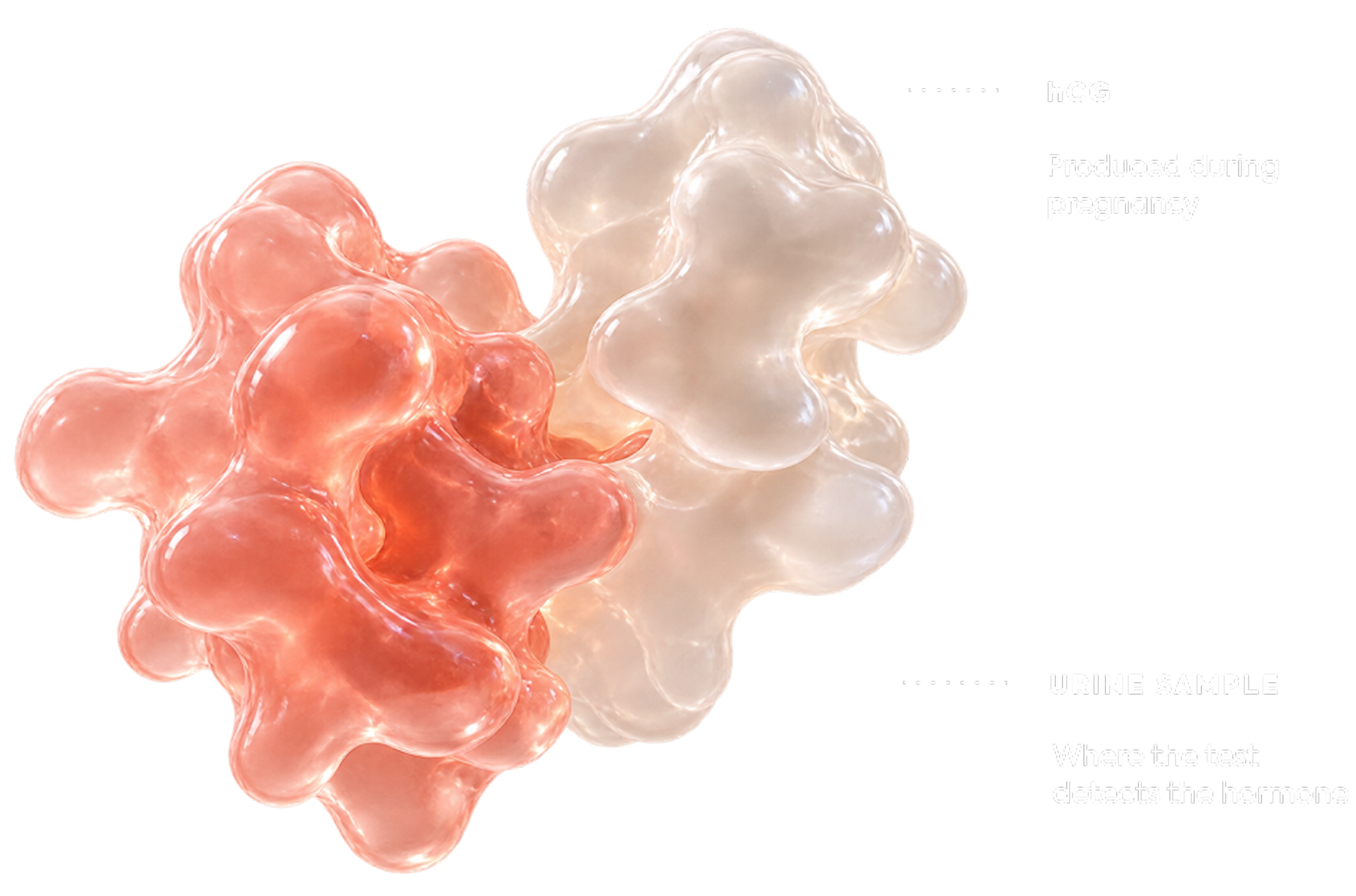EARLY HCG DETECTION