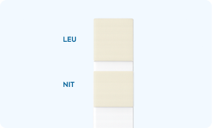 Both negative